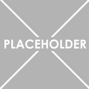 placeholder-1-e1533569576673